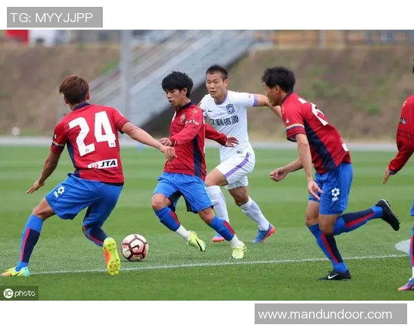 甲府凤林与黄蜂的激烈对决揭示了球队实力与战术的较量与未来发展潜力