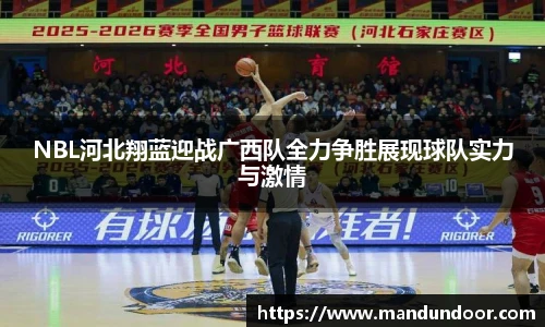 xc体育官网入口