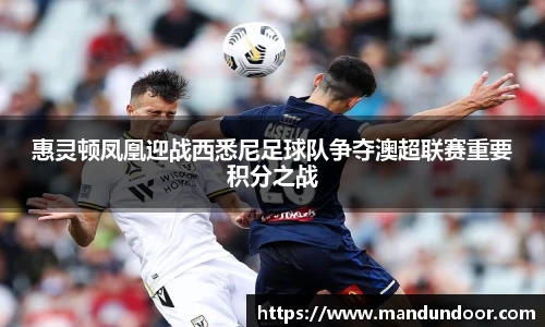 xc体育手机网页版登录